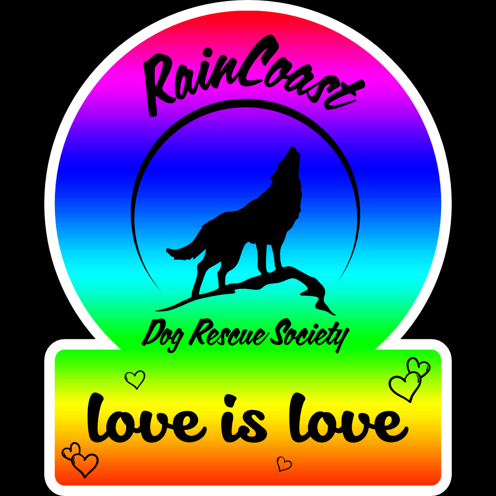Rain Coast Logo Stickers